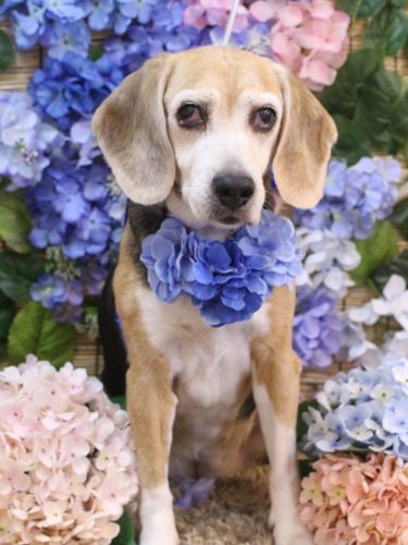 20250628ミツコちゃん